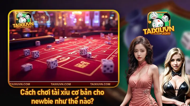 Cách chơi tài xỉu online cơ bản như thế nào?